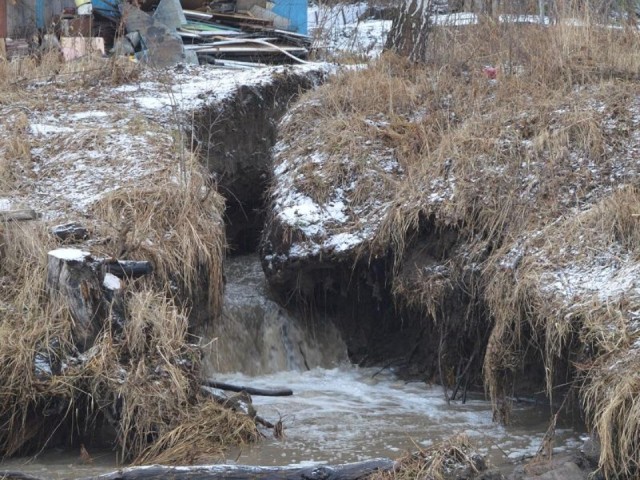 Экологический рейд в Одинцовском округе: кто сливает нечистоты в речку Саминку