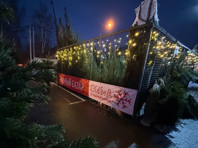 Символ Нового года: где купить праздничную елку в Истре