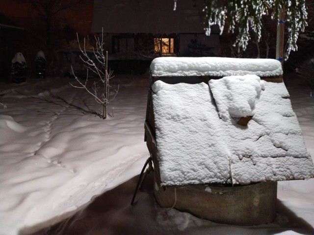 Будут ли снег и морозы на Новый год в Подмосковье? Синоптик Тишковец дал точный прогноз