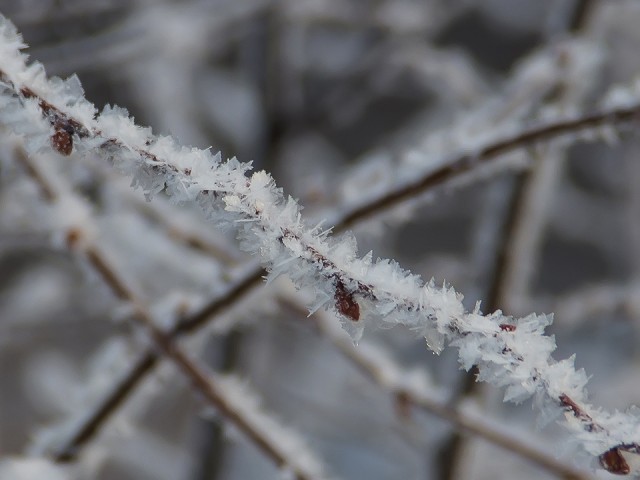 Какой народный праздник отмечают 17 декабря 2025: что можно и нельзя делать на Варварин день