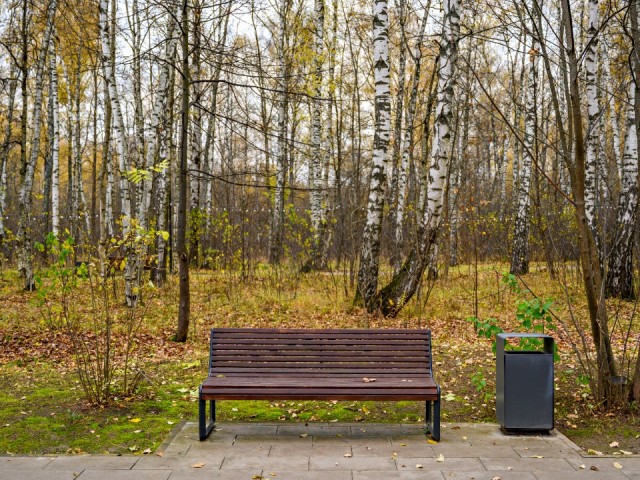 В Дубне разыскивают похищенную лавочку ветерана