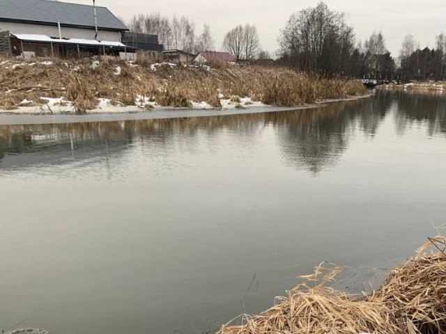 Запретная зона: суд встал на сторону экологов в споре о земле у Пестовского водохранилища