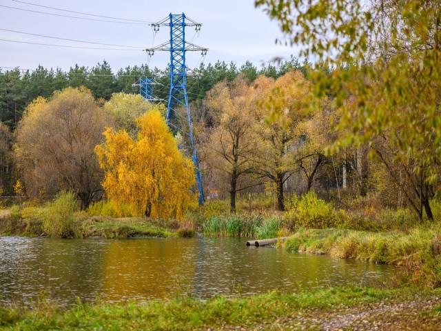 Каскад прудов в Луговой очистят в следующем году