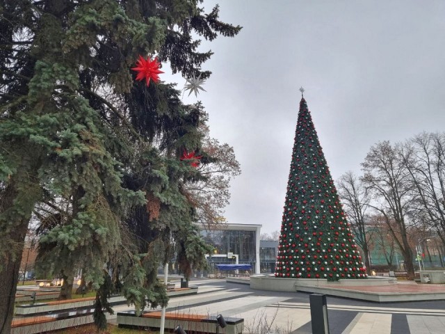 На украшение самой высокой елки в Мытищах ушло более тысячи игрушек