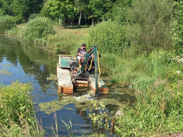 Выбор сделан: восемь прудов округа очистят от мусора и тины в следующем году