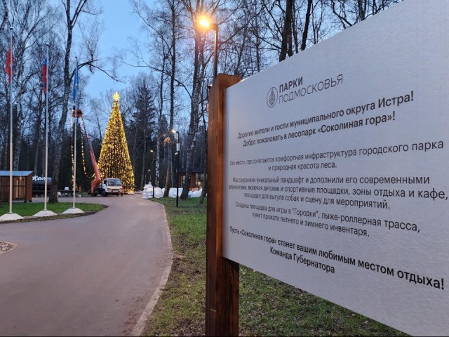 В истринском лесу «выросла» 20-метровая елка: Соколка готовится к Новому году