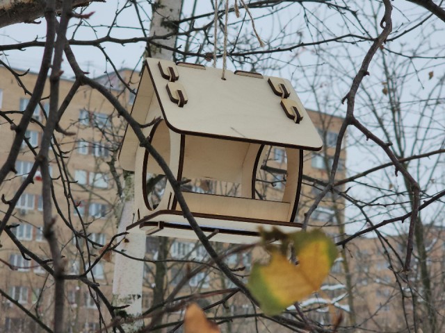 «Птичья столовая»: в школе Серебряных Прудов запустили акцию помощи пернатым