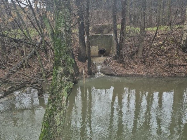 Лаборатория даст ответ: от результатов анализа воды теперь зависит серьезность мер к нарушителям на Чернавке
