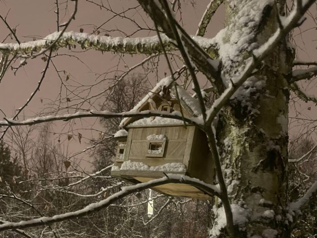 Новый год с морозами и снегом: чего ждать от погоды в Черноголовке на праздниках