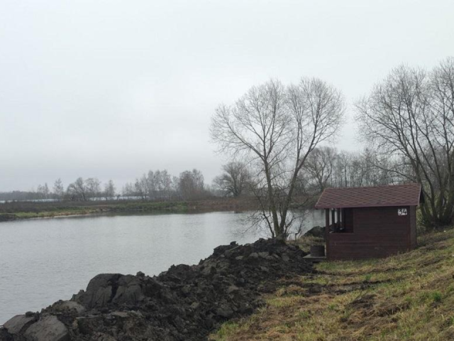 Пруд в Раменском под контролем: компания получила предостережение за нарушения договора водопользования