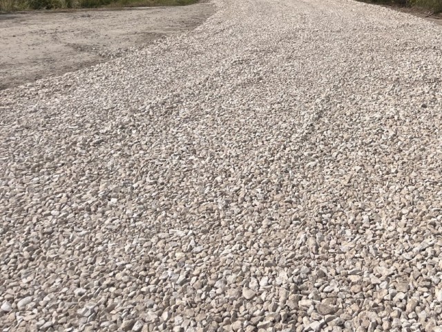 Вопрос из Шатурского округа о дороге в деревне Климовская прозвучал на прямой линии с Путиным