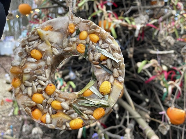 В усадебном парке Быково собрали елку для птиц и белок