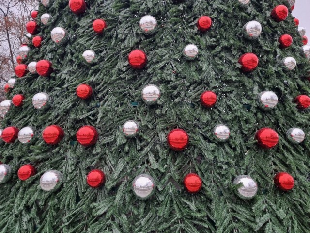 Десяток светящихся домов украсили основание елки в центре Мытищ