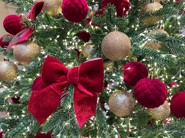 Фотографии будут сказочными: разноцветные жирафы в фонариках замечены в столичном регионе