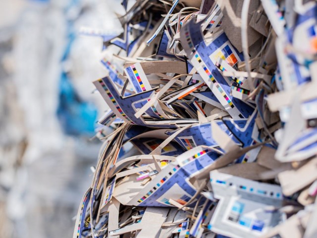 Всего два дня в Одинцовском округе: куда и во сколько сдать макулатуру и пластик на переработку