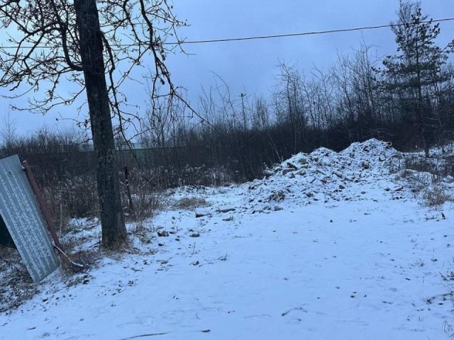 «Мусорный» сюрприз: что обнаружили экологи в Богородском округе