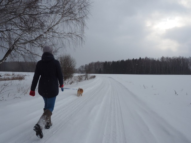 В Павловском Посаде пропали двое детей-братьев
