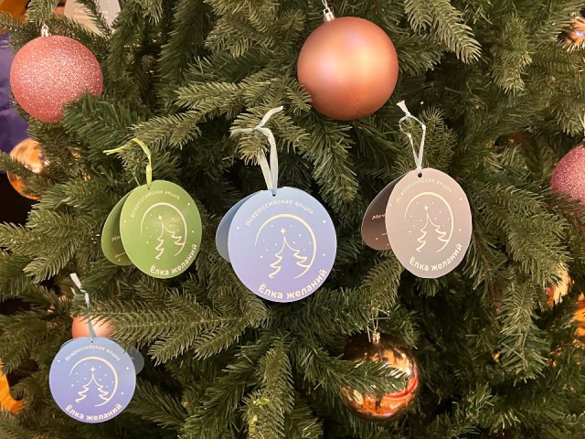 «Елка желаний»: какие мечты детей из Воскресенска осуществили перед Новым годом