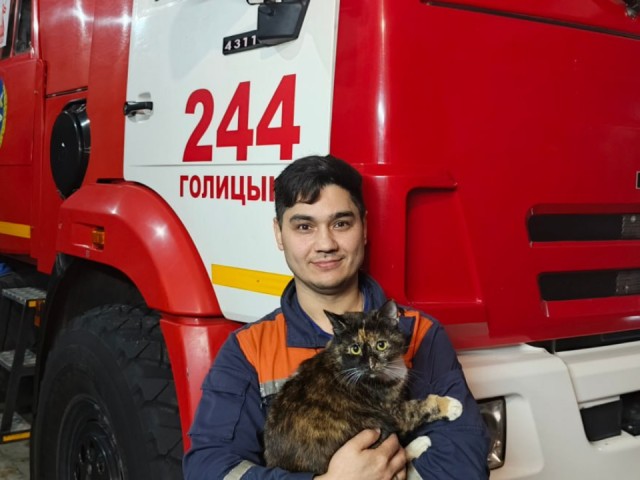 Подмосковные спасатели провели фотосессию для своих хвостатых напарников