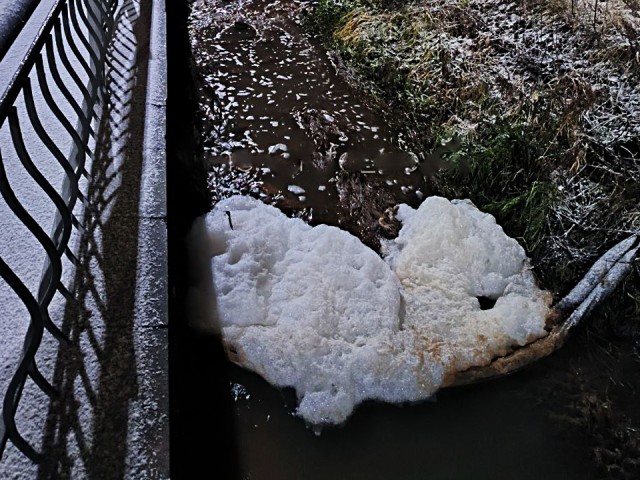 На реке Саминка в Одинцове увидели «большого плюшевого медведя»