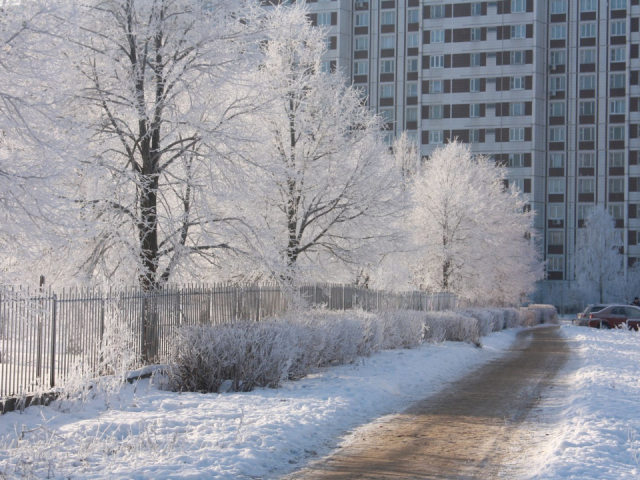 Врач Ревкова: резкие колебания температуры — стресс для организма
