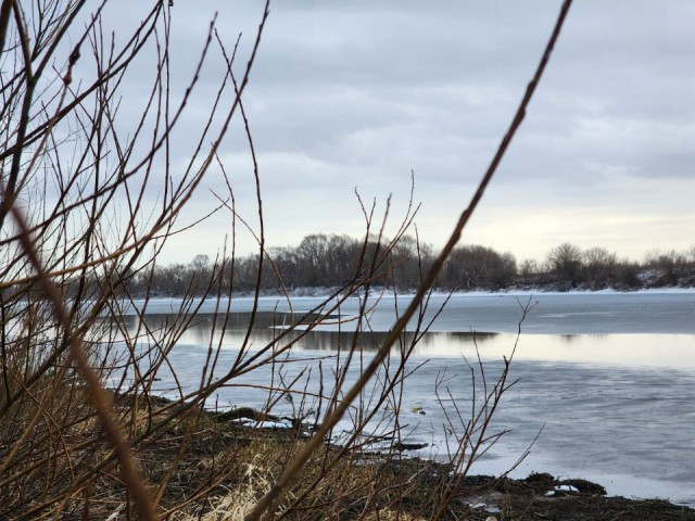 Жители сделали выбор: в 2026 году в Подольске очистят пруд в поселке МИС