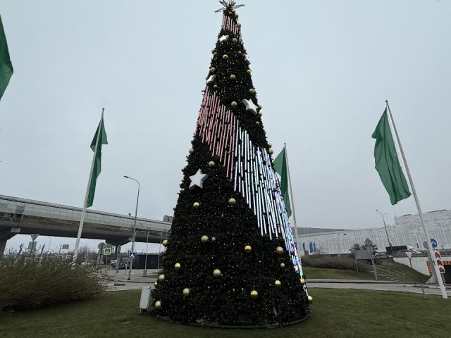Котельниковцев ждут на праздник: где найти главную елку, купол из гирлянд и конверт для желаний