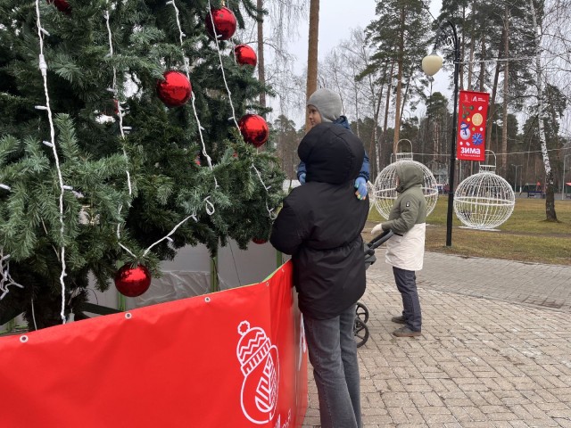 Иллюминацию зажгут на главной елке Шатуры 13 декабря в 18:00