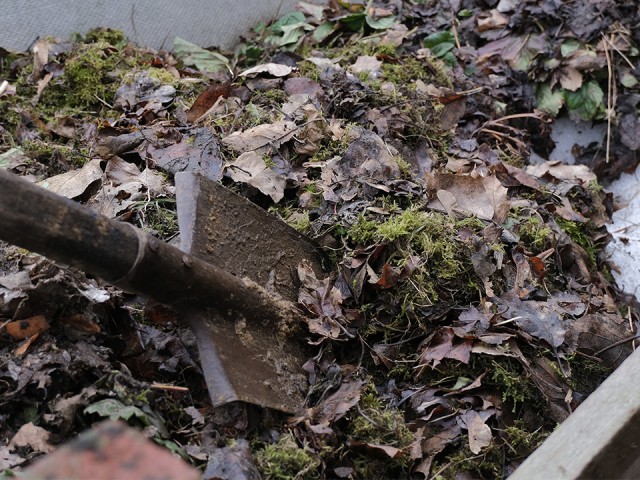 Малолетний свидетель: сын маньяка помог полиции найти тела своих нянь