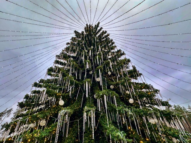 Яркое воскресенье в Одинцове: бег, йога, мастер‑классы и веселые гости в парках