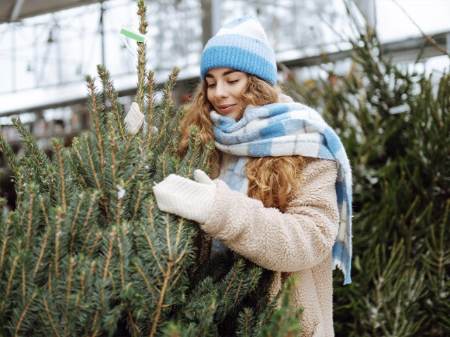 Аромат хвои или удобство на 10 лет: какую елку выбрать и не пожалеть