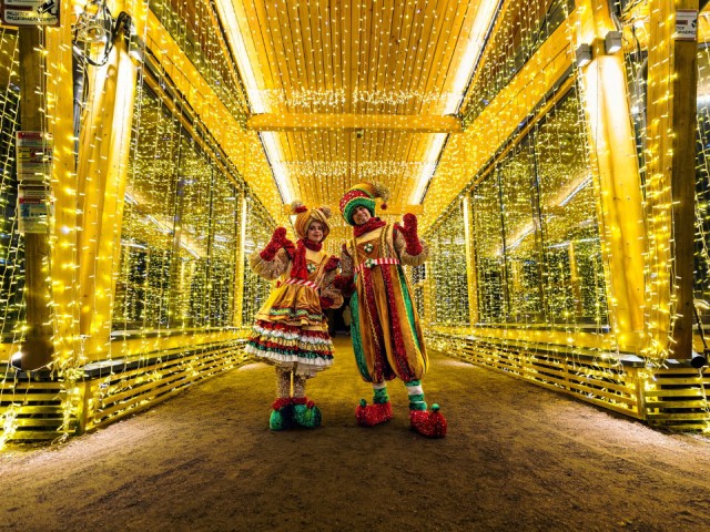 Пряничный переполох и легенды елок: что интересного ждет гостей новогоднего фестиваля «Зима в Горках»