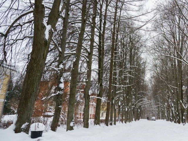 Минэкологии и прокуратура против нарушителя: в памятнике природы «Суханово» грядет снос самовольной постройки