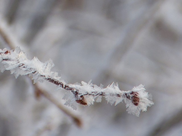 Какой народный праздник отмечают 29 декабря 2025: что можно и нельзя делать на день Аггея