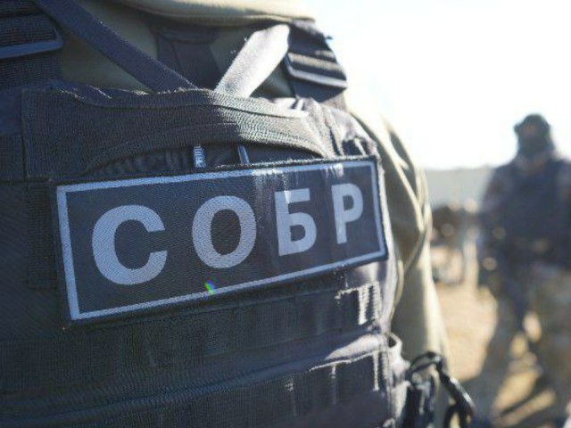 При поддержке спецназа Росгвардии: в Люберцах задержан подозреваемый в краже из частного дома