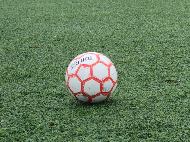 Профессиональные спортсмены поделятся секретами мастерства с гостями Фрязинского лесопарка