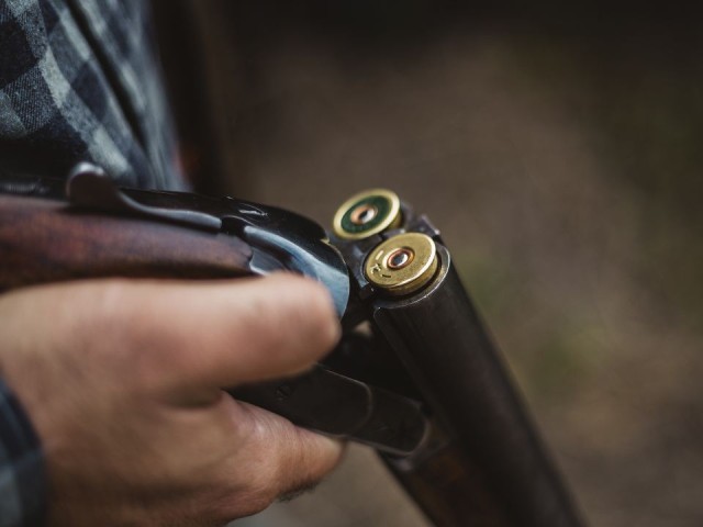 «Они побежали на нас… один сказал: „Стреляй“»: неизвестные расстреляли двух собак и избили хозяина прикладом ружья