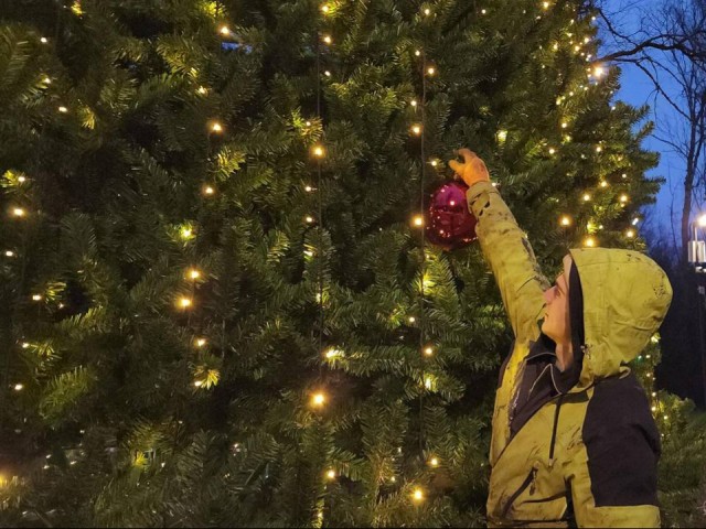 В лесопарке «Соколиная гора» к Новому году установили 20-метровую ель