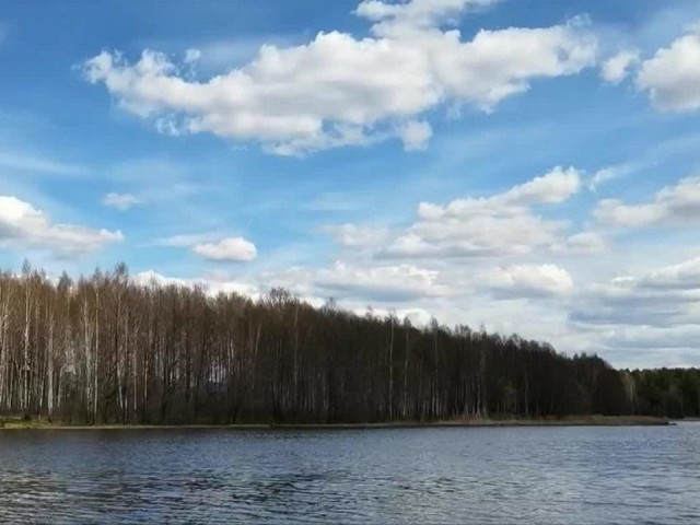 Прокуратура Талдома против кадастровой ошибки: кто победит в битве за берега озера Золотая Вешка?