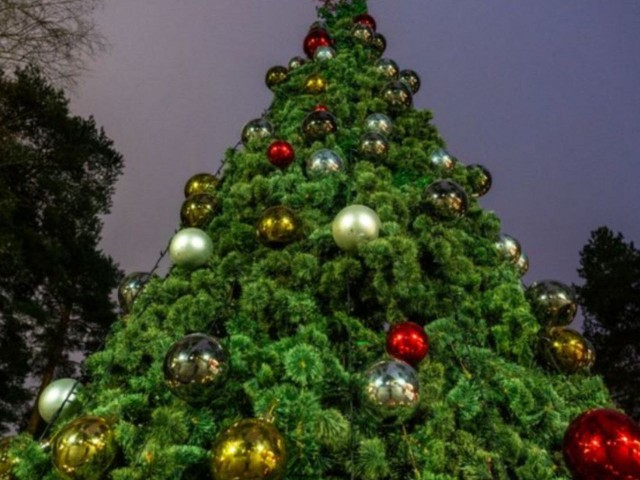 Серпантин, кино и дискотека: в Талдомском округе 1 января можно увидеть «Сокровища гномов» и потанцевать