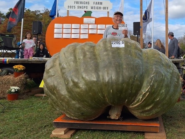 Сколько стоят семена гигантских растений: садовод Чусов готовится к новому сезону рекордов