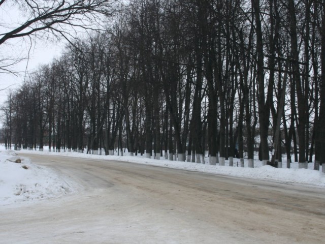 Погода шепчет: жителей Чехова предупредили об ухудшении ситуации на дорогах