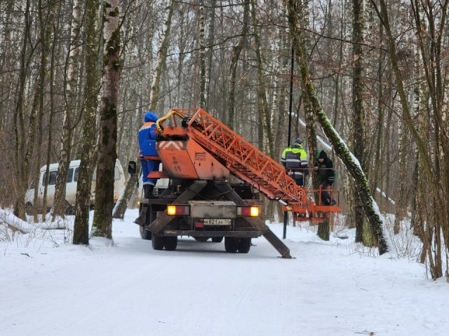 Программа «Здоровый и чистый лес» в Одинцовском округе: какие территории расчистят в 2026 году