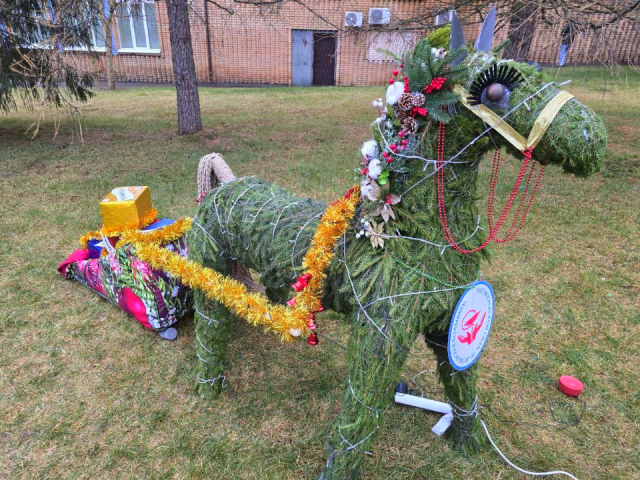 Можайские врачи «разговорили» коня