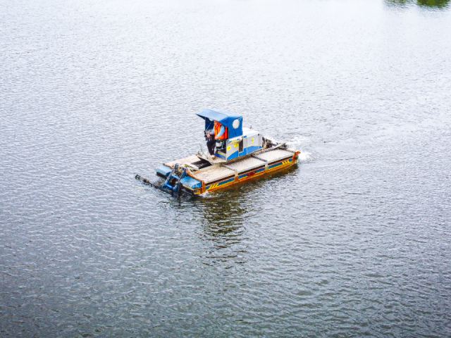 Озеро Большое ждет масштабная расчистка благодаря активности фрязинцев