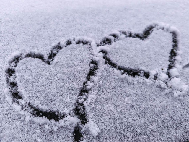 Последняя надежда на снег в 2025 году: синоптик рассказал, когда в Подмосковье вернется зима