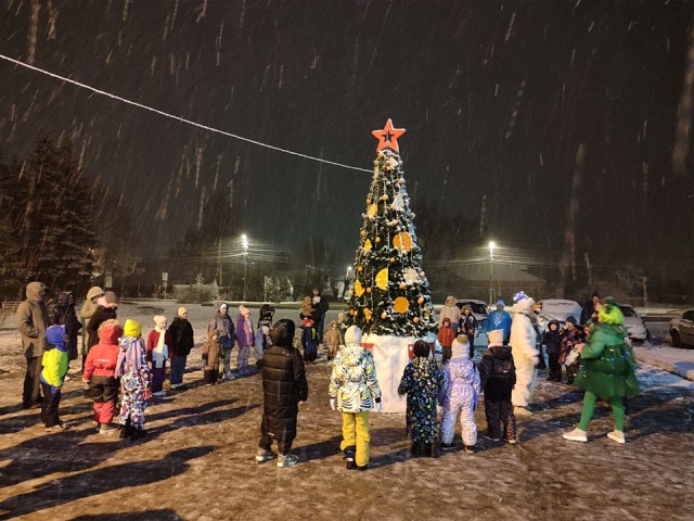 Тайна городищенской елки: почему Дед Мороз не пришел