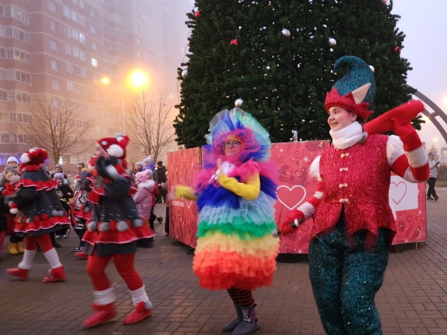 Волшебные огни и танцующие эльфы: в Лукино-Варино зажгли новогоднюю елку