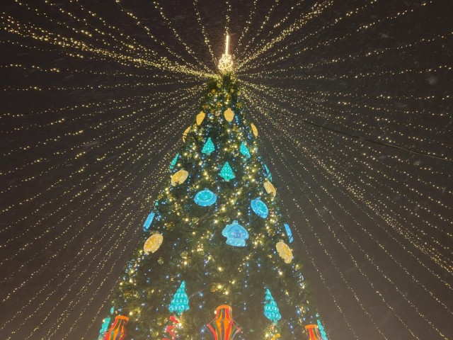 Царь-елка и каток на 7 тысяч квадратов: Красногорск к встрече Нового года готов