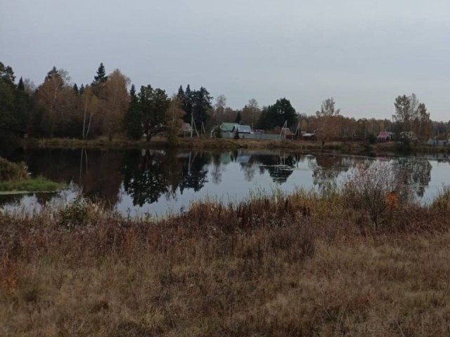 Пруд в Русаках приведут в порядок в 2026 году